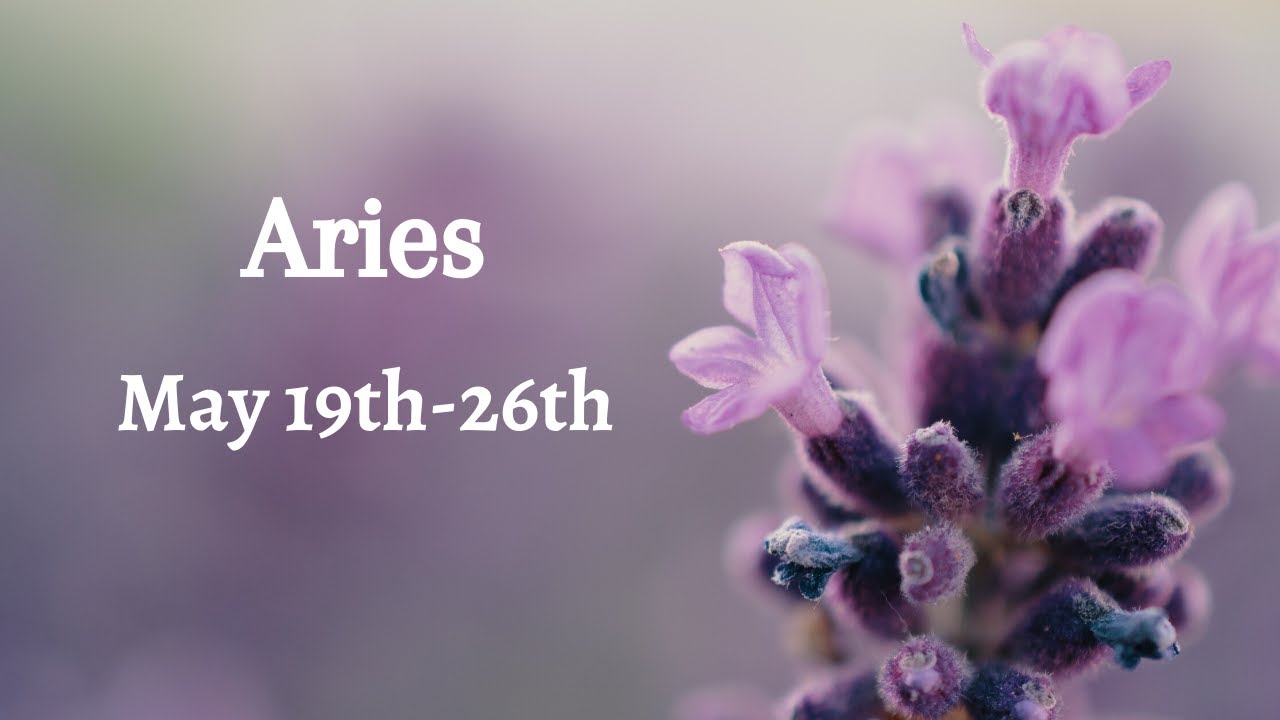 ARIES LOVE-Embarrassed for how they have treated you but they are hiding it! In disguise. . May 2020