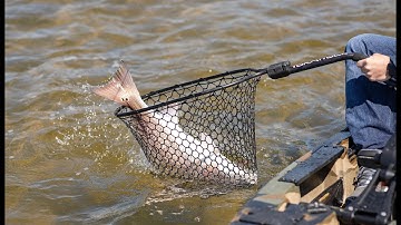 Kayak Fishing Must Haves - YakAttack Leverage Landing Net