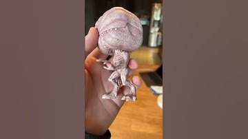 You NEED to take your Funko Pops out of their box!!