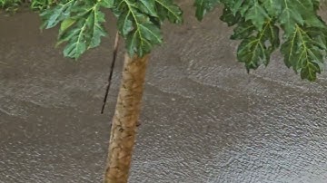 Streaming waveforms of rainwater on street with steep slope