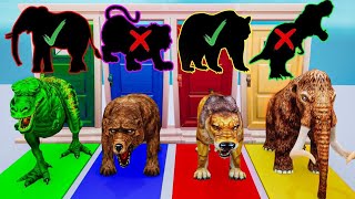 Choose Mystery Door Change With Dinosaur Buffalo Elephant Mammoth Gorilla - Animal 3D Animation