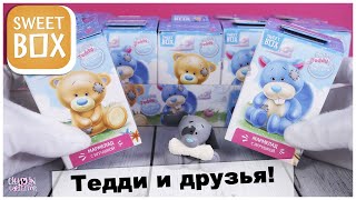 картинка: Обзор ★Тедди и друзья ★ Sweet BOX | Tatty Teddy & my Blue Nose friends | Свит Бокс