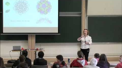 Viruses under the Mathematical Microscope: Deciphering the Code of Viral Geometry