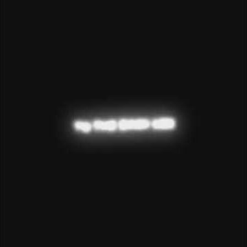 Take me Through The Night - Fall in To The Dark Side 🖤 - Lyrics Video - Trending TikTok Edit ❤️