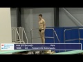 Eindhoven Diving Cup 2015, Men 1m, final