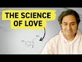 Psychiatrist Explains The Science Of Love Psychiatrist Explains The Science Of Love