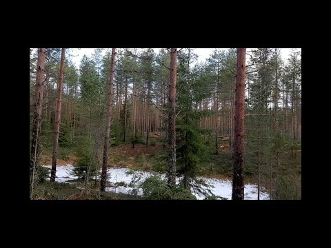 Video: Turvaa Arvosi Näillä Varkaudenestotarvikkeilla