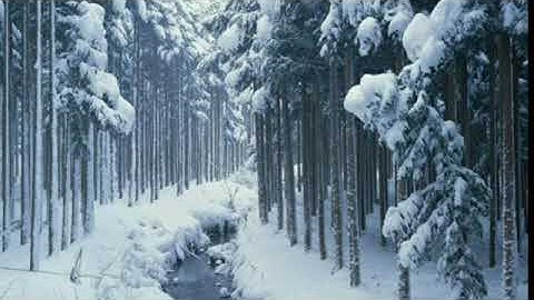 سورة الزمر 9-16 بصوت الشيخ محمود المبيض