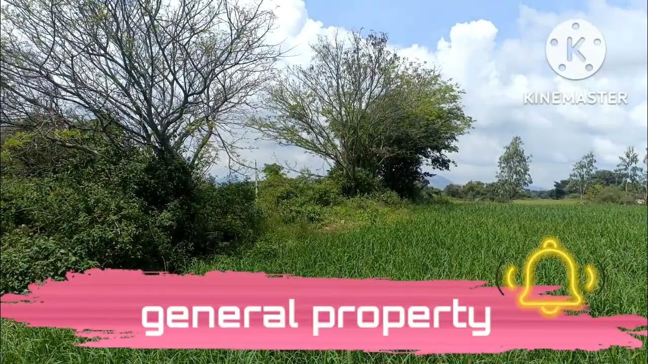one acre agricultural land for sale near Dabaspet! Contact9739698948