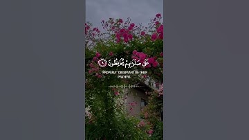 قرآن كريم حالات واتس اب - بصوت القارئ عبد الله الموسى 🎤