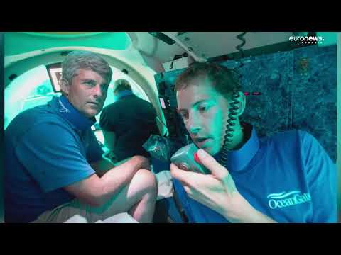 Video: Un membru al echipajului de sub punte a murit?