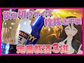 【ZIMA】酒クズ初心者にも！開けて即飲める瓶の酒3選！【263】