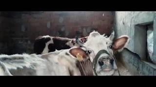 Zombi̇ Donni̇ş Trailer 2021De Sinemalarda