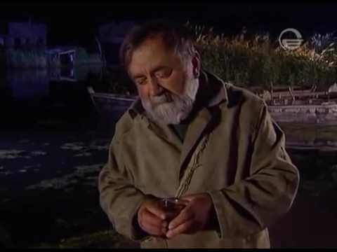 აფთონის სადღეგრძელო- ცხელი ძაღლი