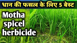 dhan ke liye 5 sabse best herbicide.motha spice herbicide.धान के लिए बेस्ट वीडनाशी।