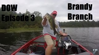 Day on the Water Episode 3: Brandy Branch with Advanced Bassin's Jake Shannon