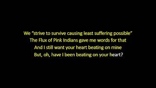 Watch Ted Leo  The Pharmacists Ativan Eyes video