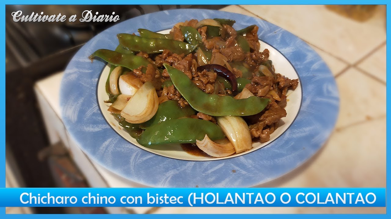 Chicharo chino con bistec (HOLANTAO O COLANTAO) - YouTube