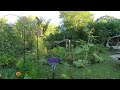 360 Hummingbird Garden! - It's Feeding Time!