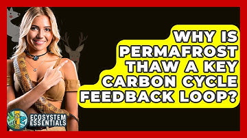 Why Is Permafrost Thaw A Key Carbon Cycle Feedback Loop? - Ecosystem Essentials