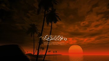 حالة واتس دينيه-قل أغير الله أتخذ وليا... القارئ محمد أيوب تلاوة من سورة الأنعام  حالات واتس دينيه❤️
