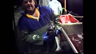 Gill Netting In Newlyn Part 2