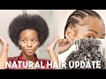 1 YEAR NATURAL HAIR UPDATE! Wash/Blowout/Braid Routine ♡