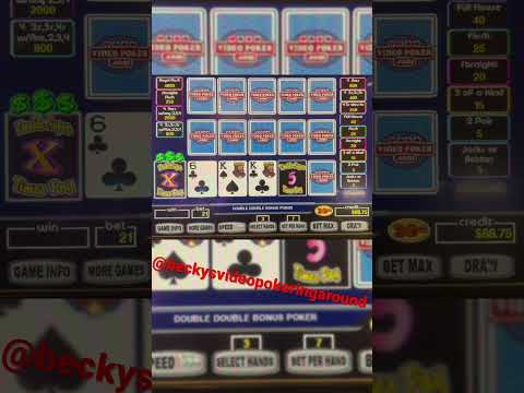 Jouez au Casino en Ligne sur ShinyWilds.fr et Découvrez des Jeux Lumineux et Sauvages