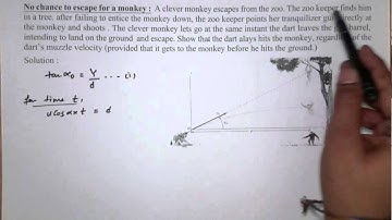 Motion in 2D :Projectile motion :Escape of monkey