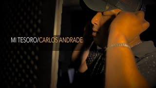 Video thumbnail of "MI TESORO - RAMON AYALA  (CARLOS ANDRADE COVER)"