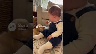 He Said Beg Puppy Said Im Tryinggg. Babies&Barks