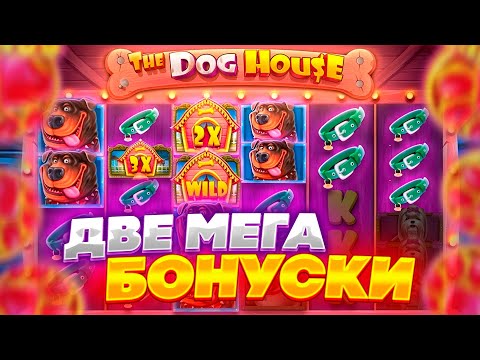 Я СЛОВИЛ ДВЕ МЕГА КРУТЫЕ БОНУСКИ В THE DOG HOUSE (ЗАНОС) 🔥