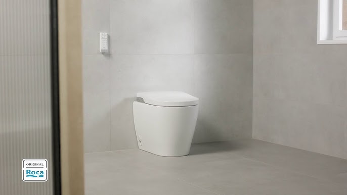 How to change hinges Fix Toilet Cover WC Roca Dama Senso AI0002100R 🚽🚽💡  