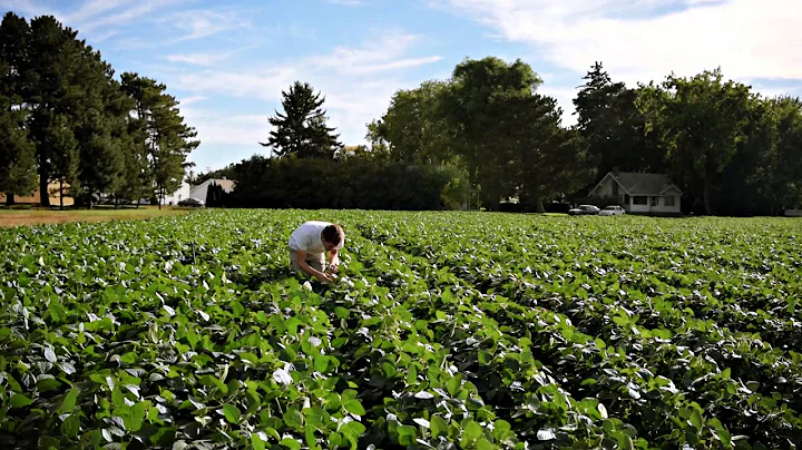 Monitoring Diseases In The Field