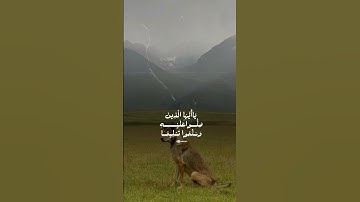 اكتب شيء تؤجر عليه #quran #ياسر_الدوسري #سورة_الاحزاب #قرآن_كريم #القرآن_الكريم #اكسبلور #القزابري