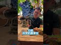 香菜泡麵竟然可以餐酒搭 還配法國葡萄酒#香菜 #泡麵 #辦公室 #美食 #熬夜 #小吃 #office #wine #tea #葡萄酒 #酒 #宵夜 #療癒 #茶 #法國