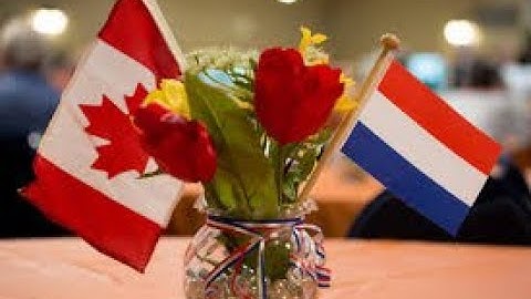 The Watapartja Project VIII by Bert Schulte🎸 with michael hermiston🎺