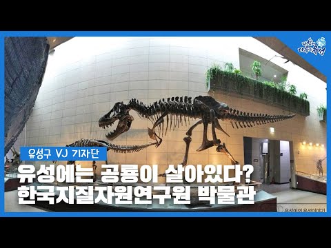 [유성구VJ기자단] 유성에는 공룡이 살아있다? ｜한국지질자원연구원 지질박물관을 가다