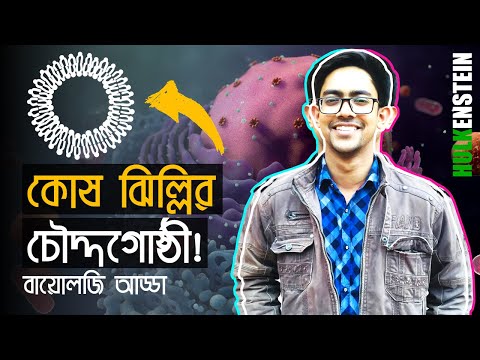 ভিডিও: বিভিন্ন কোষ ঝিল্লি মডেল কি কি?