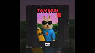 Toluen-Tavşan