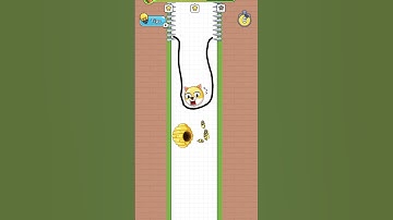 Save the Doge Level 92 || New Update #shorts #viral #gameplay