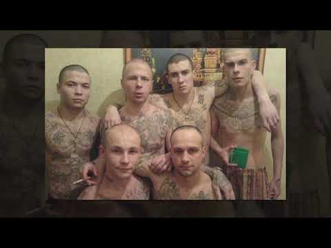 Далеко-далеко журавли улетели - Владимир Землянский