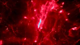 Moving Mesh Cosmology: Galaxy-ID 02 at  redshift two