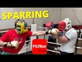 Fit2box boxing sparring