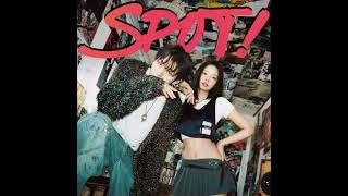 SPOT!-ZICO+JENNIE❤️