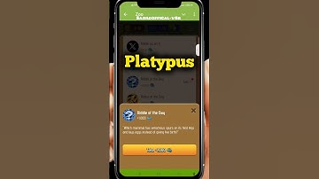 Riddle if The Day Zoo Today Secret Code #zoo#trandingshorts#code#combo#riddles#airdrop#tranding