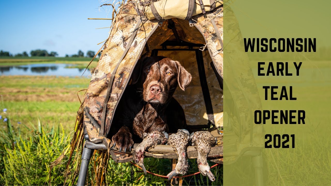 WISCONSIN EARLY TEAL OPENER 2021