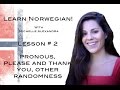 Learn Norwegian! Lesson #2 - Nouns, Please and Thank you, etc.