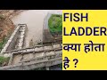 What is the function of a fish ladder   fish ladder in dam  fish pass