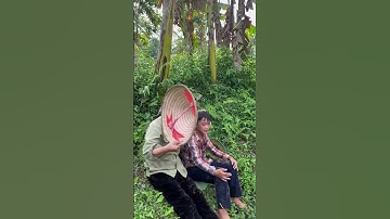 Một ngày mùa gặt – của mẹ con bé Kiên | Cuộc sống miền núi